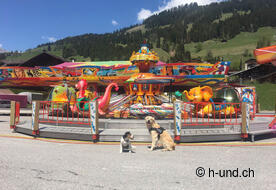 Un timing parfait pour le festival de printemps