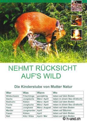 H-und.ch: Experience Switzerland with your dog