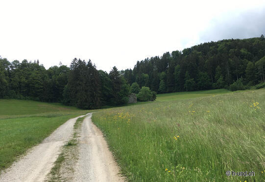 Amsoldingen-Rüeggisberg