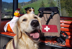 Plein d'impatience pour la belle randonnée.