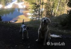 Kaya et Nemesis profitent de la visite du Schwarzensee.